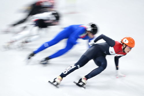 荷兰短道速滑女子比赛视频冬奥会春芽到蒲公英意义